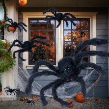 Araña negra