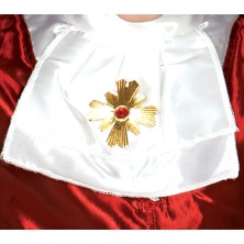 Disfraz de Vampiro infantil