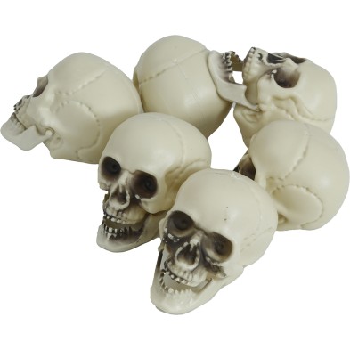 Bolsa 6 calaveras
