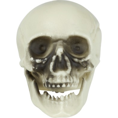 Bolsa 6 calaveras