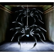 Araña grande