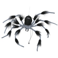 Araña grande