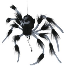 Araña grande
