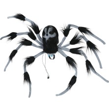 Araña grande