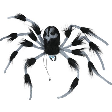 Araña grande
