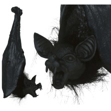 Murciélago colgado