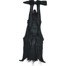Murciélago colgado