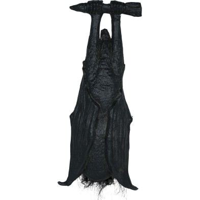 Murciélago colgado