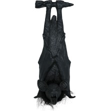 Murciélago colgado