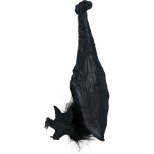Murciélago colgado