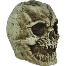 Calavera Gigante
