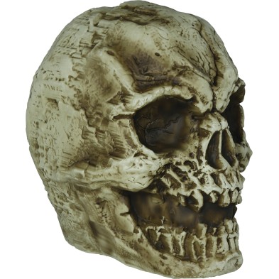 Calavera Gigante