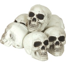 Pack 6 calaveras