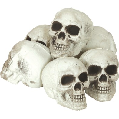 Pack 6 calaveras