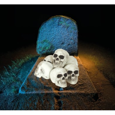 Pack 6 calaveras