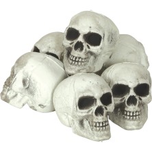 Pack 6 calaveras