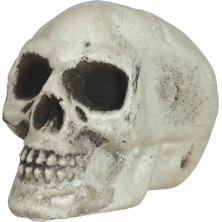 Pack 6 calaveras