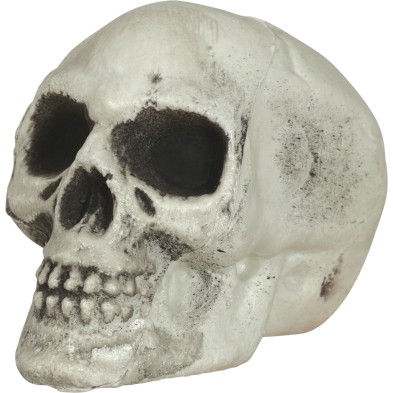 Pack 6 calaveras