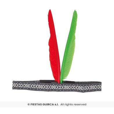 Cinta de Indio con plumas
