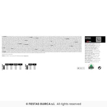 Disfraz de Papa Noel Lujo