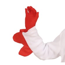 Disfraz de Pollo infantil