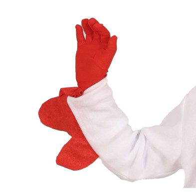 Disfraz de Pollo infantil