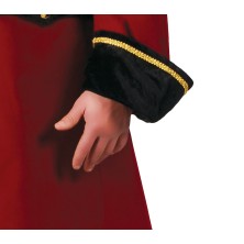 Disfraz de capitán pirata