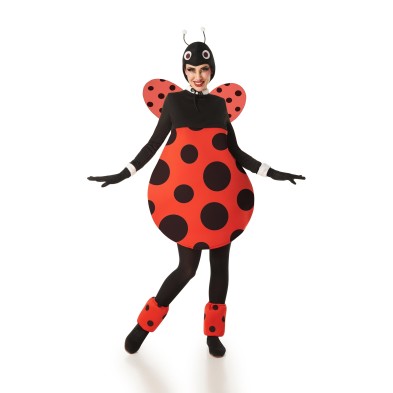 Disfraz de Mariquita Rechoncha