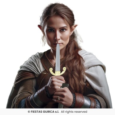 Daga medieval con funda