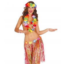 Conjunto Hawaiana