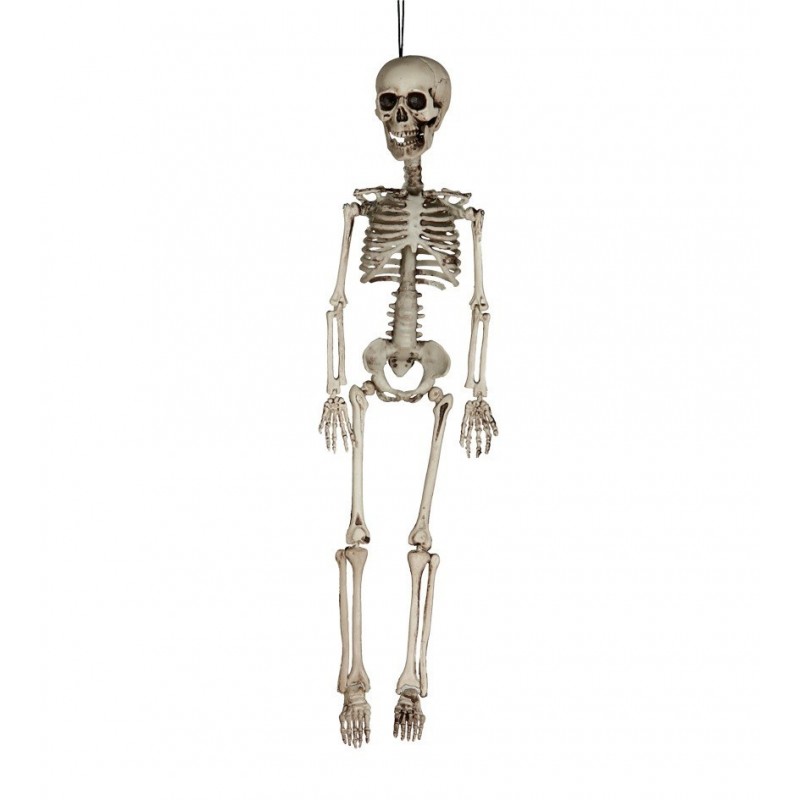 Esqueleto 60cm