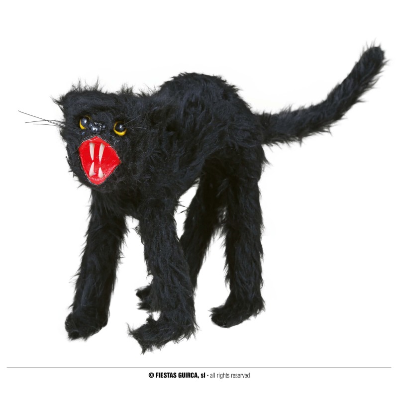Gato negro