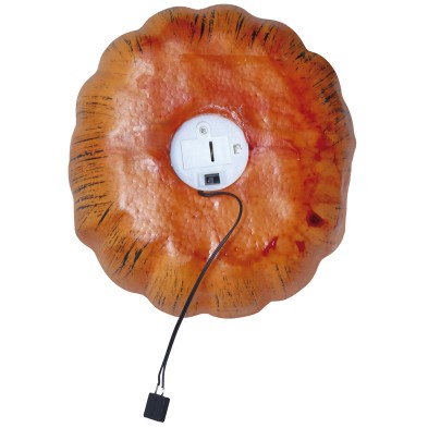 Calabaza con luz