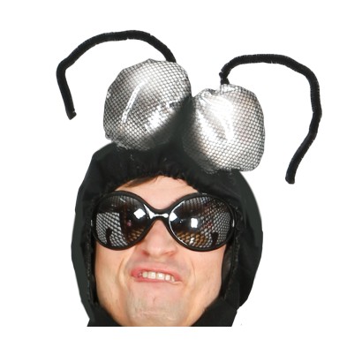 Disfraz de Mosca
