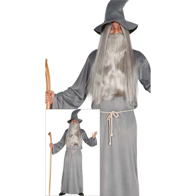 Disfraz de Mago Gris