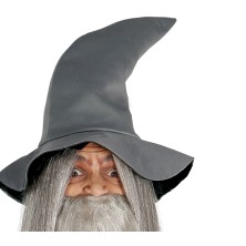Disfraz de Mago Gris